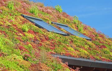 Bolton New Houses living roof systems